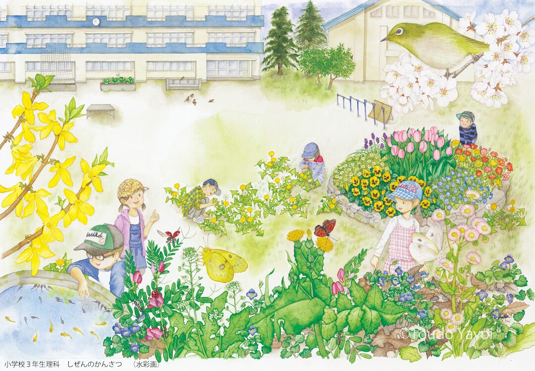 小学校3年生理科の教科書イラスト