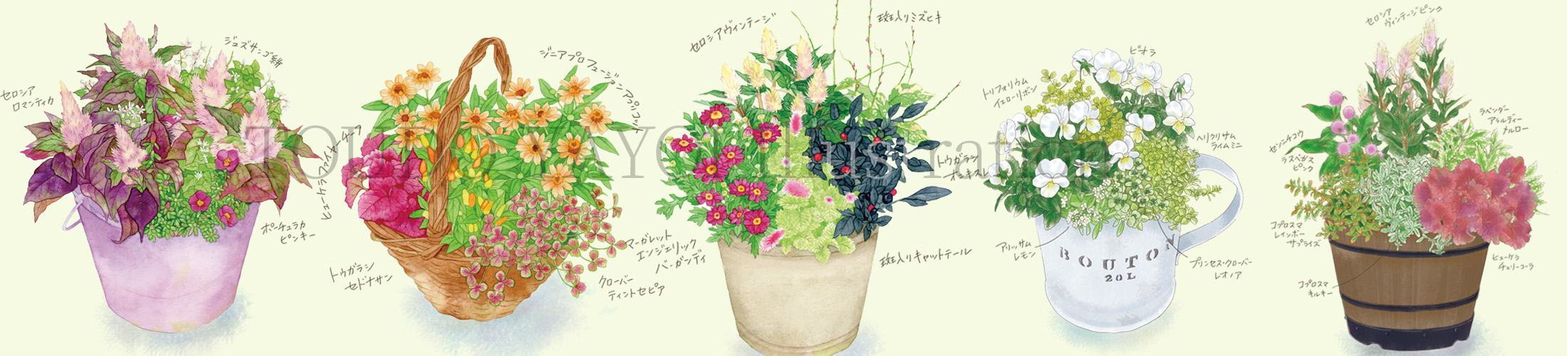 ガーデニングイラスト