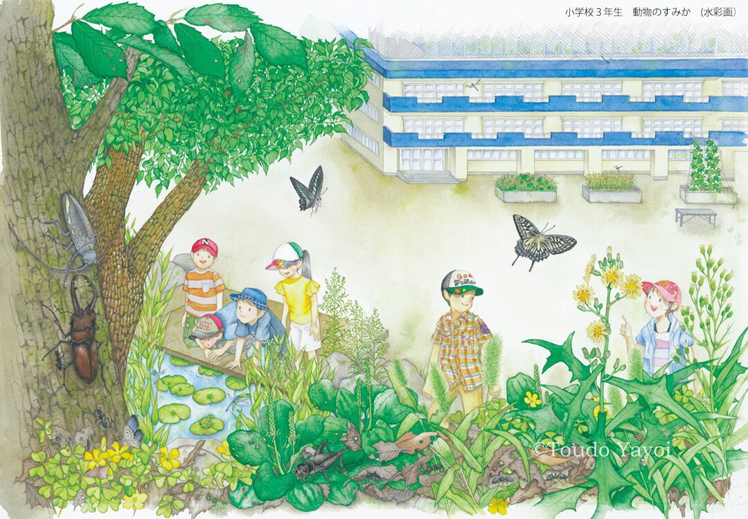 小学校3年生理科