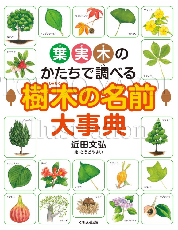 樹木の名前大辞典
