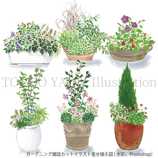ガーデニング雑誌の寄せ植え図イラスト