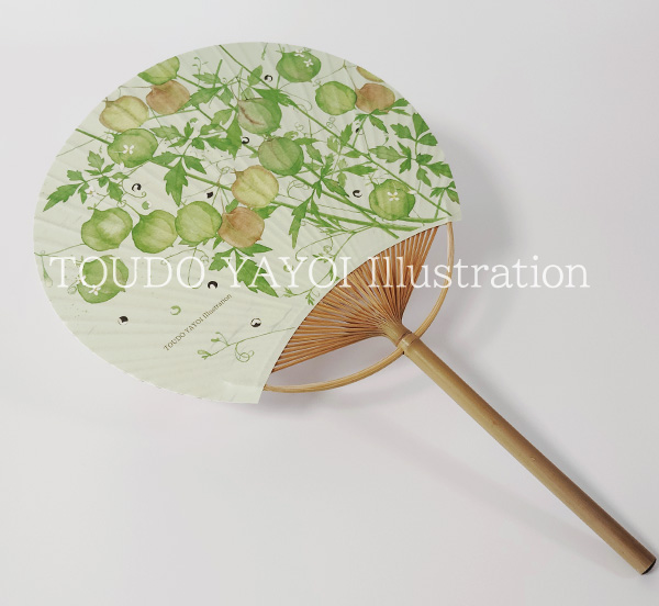 フウセンカズラの団扇