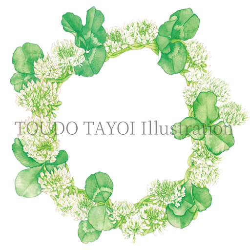 TOUDO YAYOI Illustration